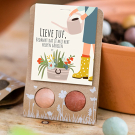 Blossombs Bloembommetjes Lieve Juf