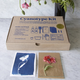Botanopia Cyanotype DIY Kit