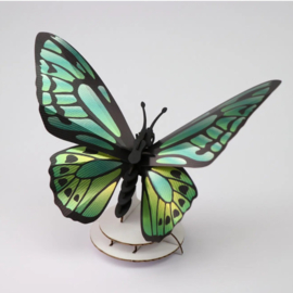 Assembli DIY 3D Birdwing Vlinder Green