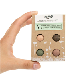 Blossombs Bloembommetjes Kleurrijke Groetjes Gift Box Mini