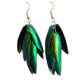 Oorbellen Beetle Wings