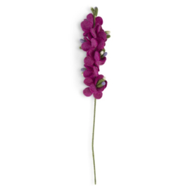 Sjaal Met Verhaal Ridderspoor Vilt Fuchsia