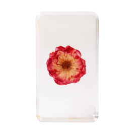 &Klevering Flower Cube XL