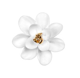 Räder Porselein Geluksdoosje Lotusbloem Good Vibes