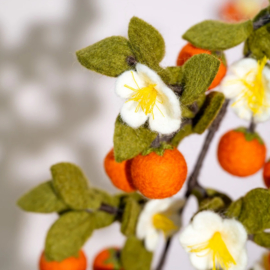 Sjaal Met Verhaal Tak Sinaasappel Vilt