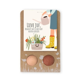 Blossombs Bloembommetjes Lieve Juf