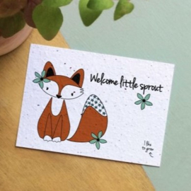 Bloom Your Message Bloeikaart Welcome Little Sprout