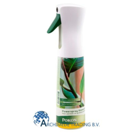 POKON POWERSPRAY KAMERPLANTEN 300 ML