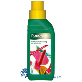 POKON ANTHURIUM VOEDING 250 ML