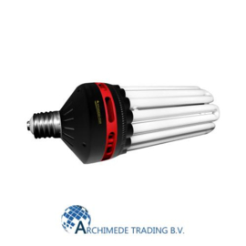 ADVANCED-STAR PRO STAR CFL 200W 2100°K (BLOEI)