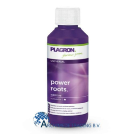 PLAGRON POWER ROOTS 100 ML