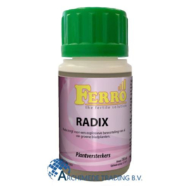 FERRO RADIX 100 ML