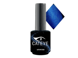 Upvoted #003 CatEye Persian