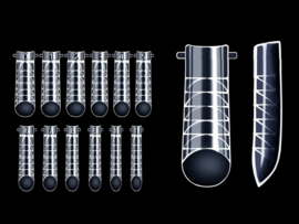 Dual Nail Forms