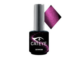 Upvoted #004 CatEye Chartreux
