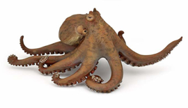 octopus 56013