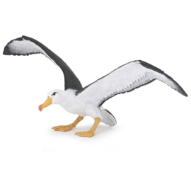 albatros 56038