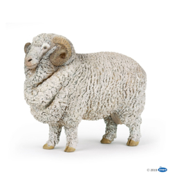 mouton mérinos schaap 51174