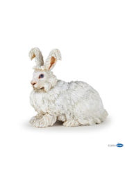 lapin agora 51172