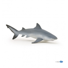 requin bouledogne 56044