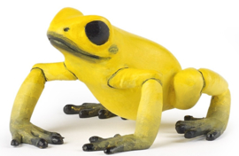 grenouille équatoriale jaune 50174