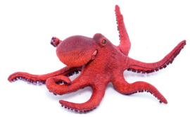 kleine octopus 56060