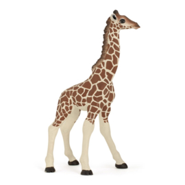 giraf kalf 50100