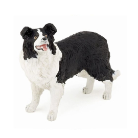 border collie 54008