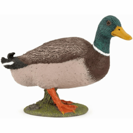 canard colvert 51155