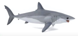 requin mako 56062