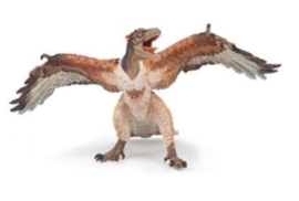 archeopteryx 55034