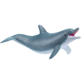 dolfijn spelend 56004