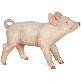 cochonnet femelle 51136