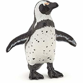 Afrikaanse pinguin 56017