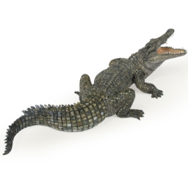 crocodile du nil 50055