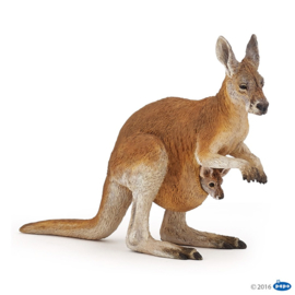 kangourou avec bébé 50188