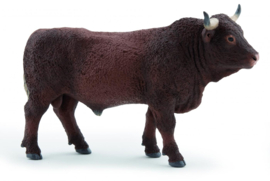 salers stier 51186