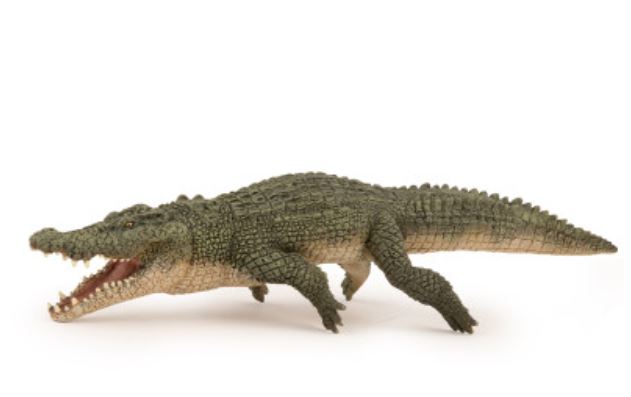 Crocodile marin 50324