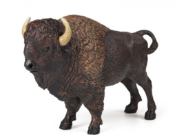 bison d'amérique 50119