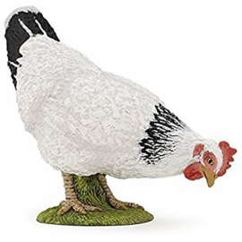 poule blanche picorant 51160
