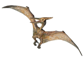 pteranodon 55006