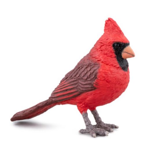  cardinal du nord 50322