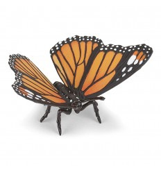 vlinder 50260