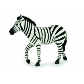 zebra hengst 50249
