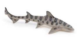 requin léopard 56056