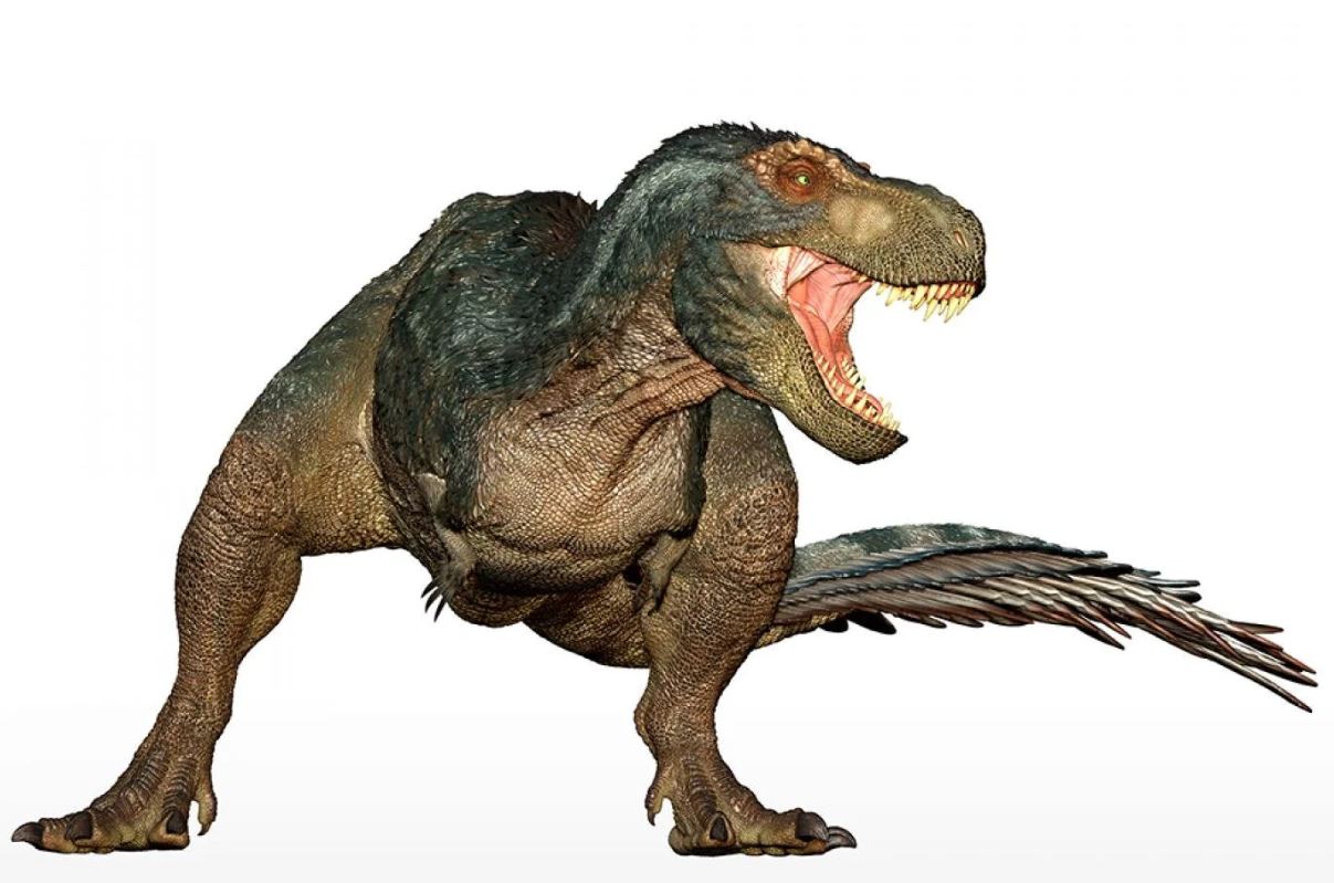 T-Rex met pluimen