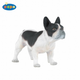 Franse bulldog 54006