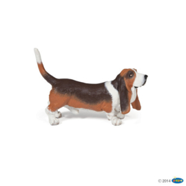 Basset 54012