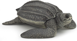 tortue luth 56022