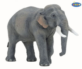éléphant d'asie 50131